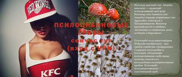 альфа пвп Белокуриха