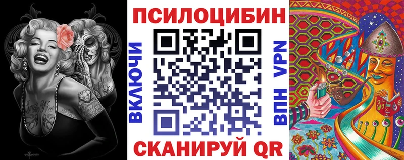 Псилоцибиновые грибы Cubensis  Медынь 